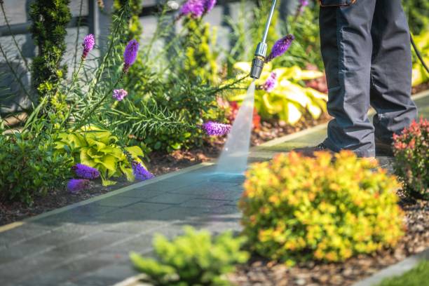 Best Restaurant Pressure Washing  in Warsaw, IL